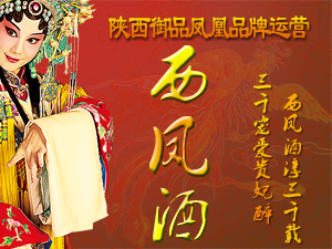 �����Ʒ�P��Ʒ���\(y��n)�I(y��ng)���޹�˾