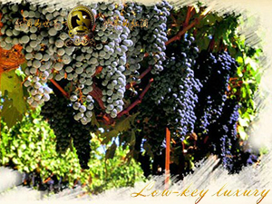 ������¡�D���H���Q(m��o)���޹�˾