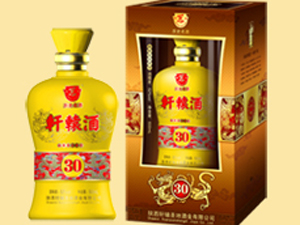 西安圣地龍企業(yè)營(yíng)銷策劃有限公司