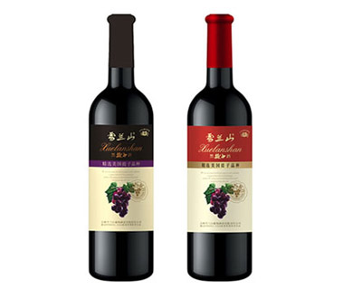 ����ѩ�mɽ���ѾƘI(y��)����؟(z��)�ι�˾