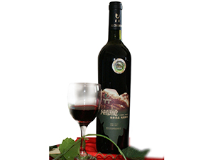 �����A���f�@���I(y��)���޹�˾