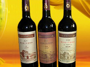 �ɶ���ӯ�S���Q(m��o)����؟(z��)�ι�˾