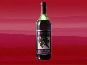 ͨ��ͨ��ƘI(y��)���޹�˾