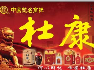 河南杜康酒業(yè)集團(tuán)