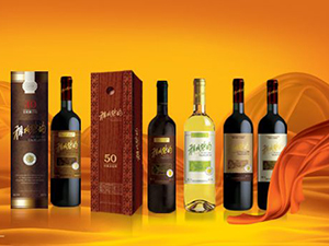 �т�����ᄾ����޹�˾�����п�����