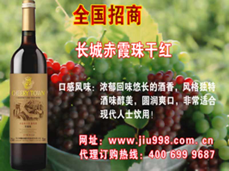 強(qiáng)國貿(mào)易有限公司