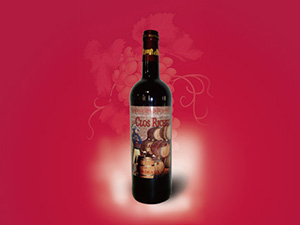 �������Ɓ��Ǳ��ƘI(y��)��˾