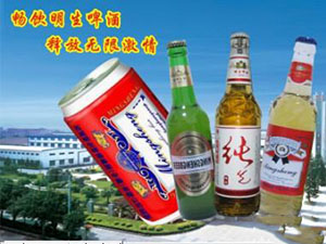 百威明生啤酒集團(中國)有限公司