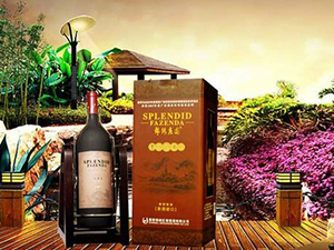 �V���оƼt�����Q(m��o)�����޹�˾