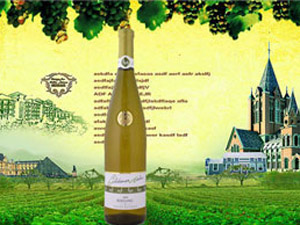 廈門(mén)百世利貿(mào)易有限公司