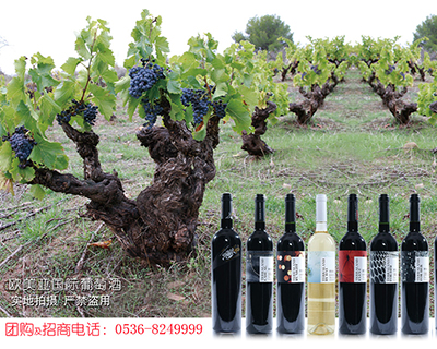 �W������(gu��)�H���Ѿ����޹�˾��OMA��