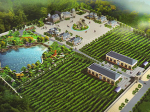 ɽ�|܎�����Ѿ�������޹�˾