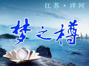 江蘇洋河夢之樽系列酒