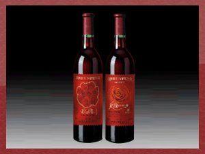 ���_(t��i)��(r��n)�S�������޹�˾