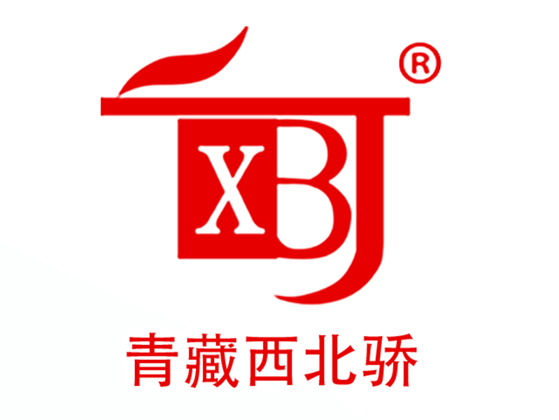 ��������h���_(d��)����������؟(z��)�ι�˾