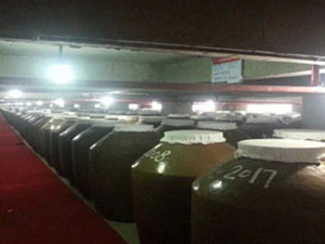 ȫ��(gu��)�(zh��n)�Ͷ����Ͼ�Ʒ���\(y��n)�I(y��ng)����