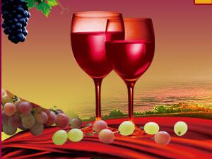 河南金裝貿易有限公司