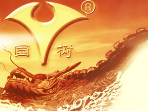 ɽ�|����ƘI(y��)���޹�˾