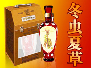 �ຣ����������Ȼ�����x�ݾƏS