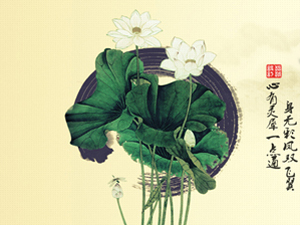 ��ȼt���Ѿƹɷ����޹�˾