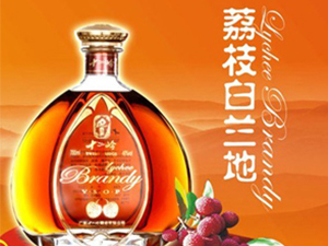 �Ƹ��A�Ͼ��f�ƘI(y��)���޹�˾