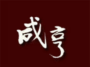 紹興縣咸亨酒業(yè)有限公司