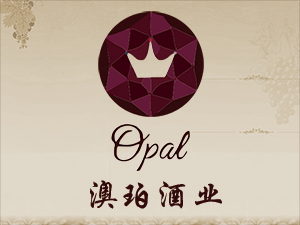 �V�ݰ����Q�����޹�˾