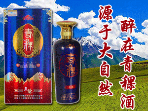 青海雪域稞王酒業(yè)集團(tuán)有限公司