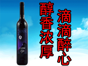 �Ϻ��l(xi��ng)Ԫ�Q(m��o)�����޹�˾