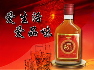 寧陵縣龍翔露酒有限公司