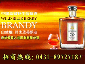 吉林省狼人谷酒業(yè)有限公司