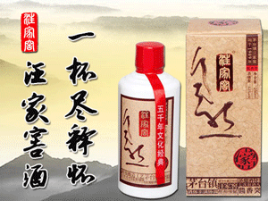 ���ҽѾƘI(y��)���޹�˾