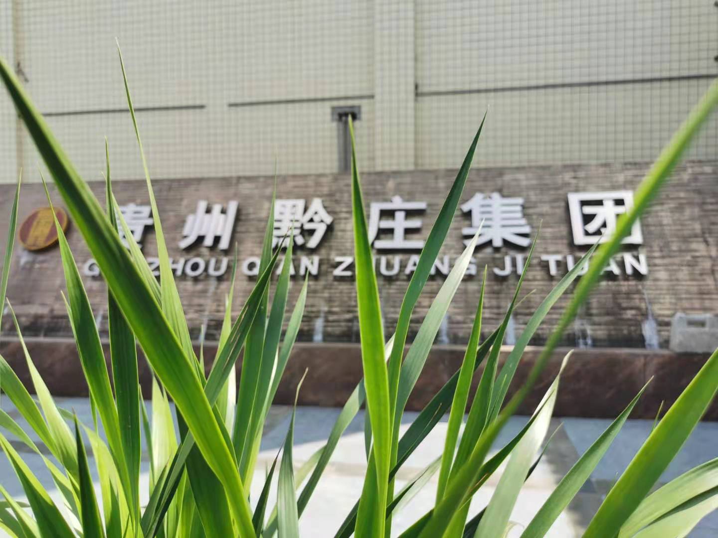 �F��ǭ�f�ƘI(y��)���F(tu��n)���޹�˾