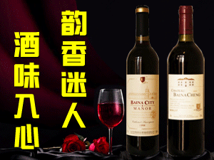 山東百納城酒莊葡萄釀酒有限公司