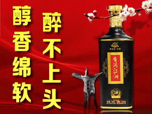 四川省宜賓李莊酒廠集團(tuán)有限公司