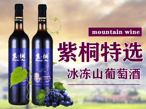 ������ͩ�ƘI(y��)���޹�˾