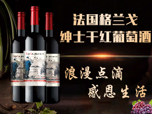 凱馬傳奇福建酒業(yè)有限公司