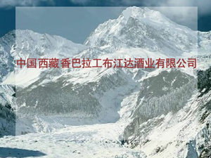 ����������������_(d��)�ƘI(y��)���޹�˾