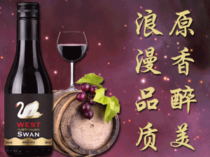 �����B�T�����ƘI(y��)���޹�˾