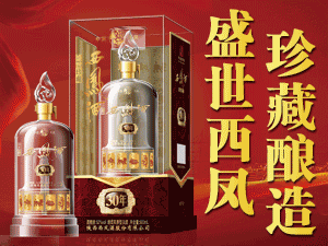 ����P�����ƘI(y��)-���P��ʮ����Ф��