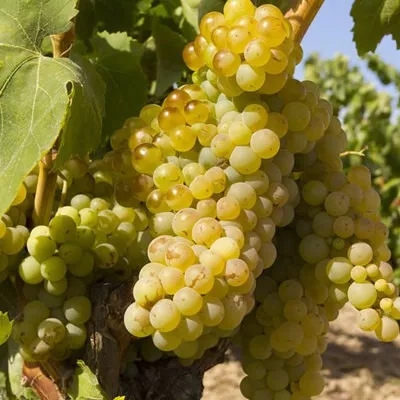 640.webp (1).jpg 640.webp (1).jpg