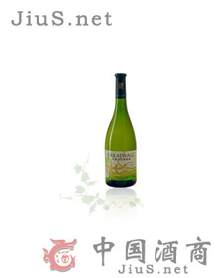 ��s2008�߼�ɯ���ݸɰ�