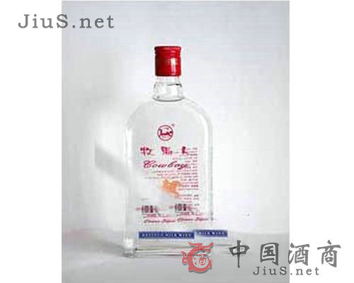 �������̾�