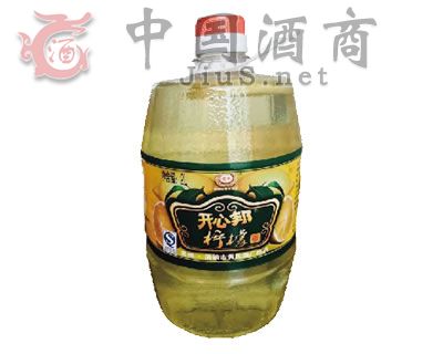 �_(k��i)�İ�ʾƣ�2L��